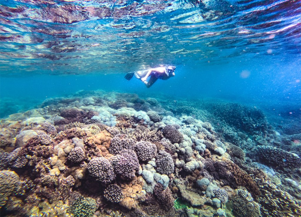 Release of the 2019 Great Barrier Reef Outlook Report | Capricorn ...