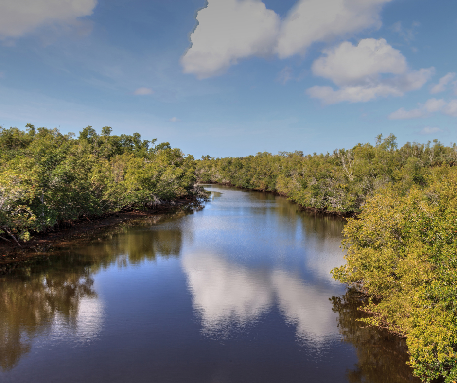Local communities backed to restore Queensland’s coast and waterways