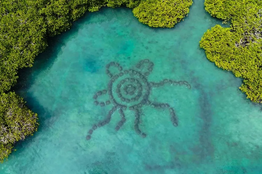 What’s New on the Capricorn Coast – fresh experiences, flavours and stories