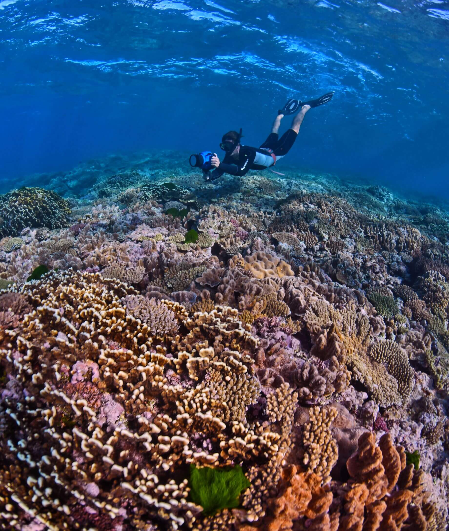 Below the surface: Top 10 lesser-known reefs to explore on the Great ...